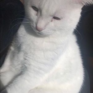 Meet your Posher, Mara